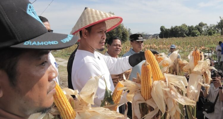 Gebrakan Walikota